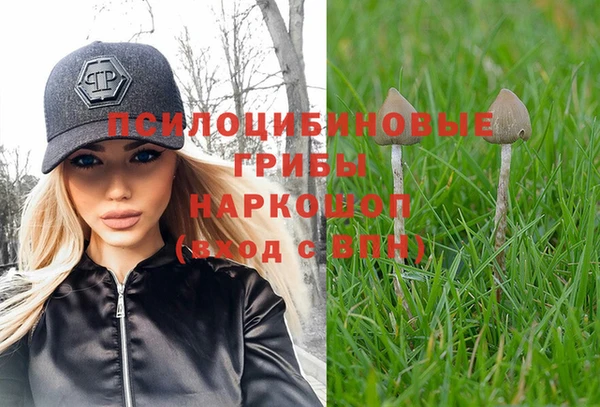 бошки Красноперекопск